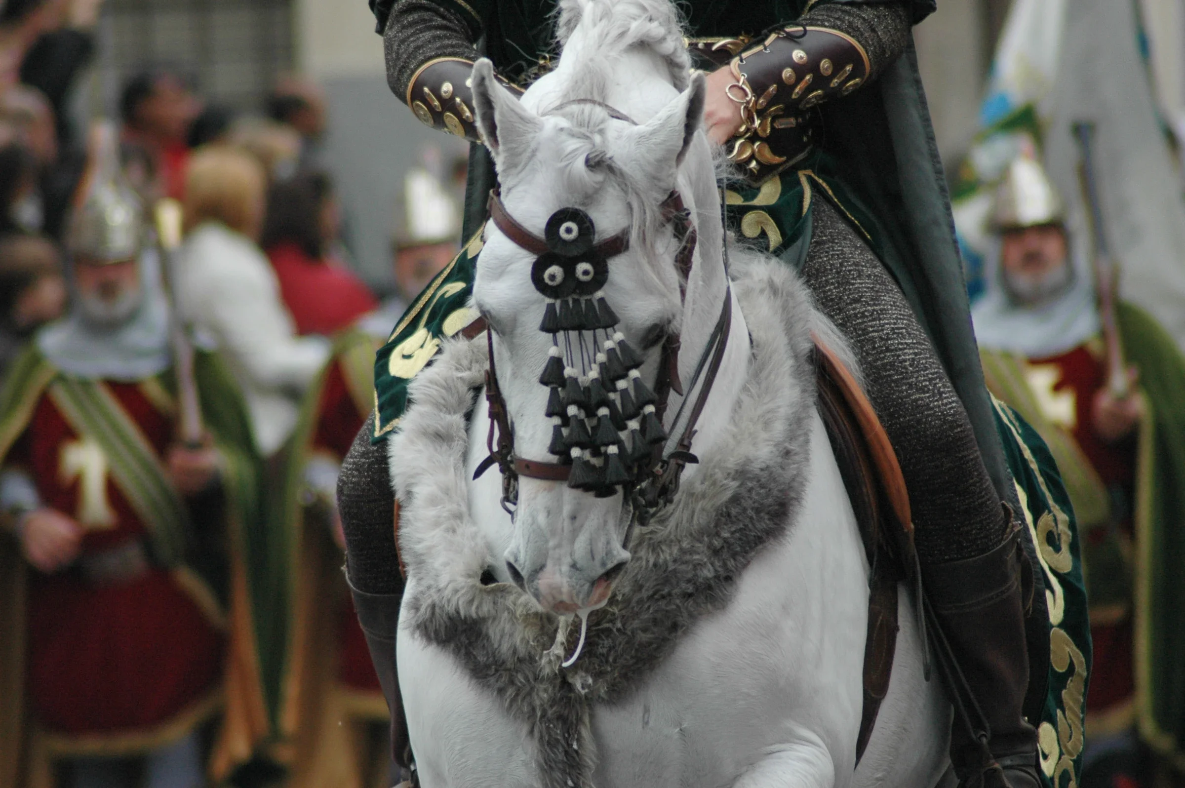 Moros y Cristianos en Monforte del Cid